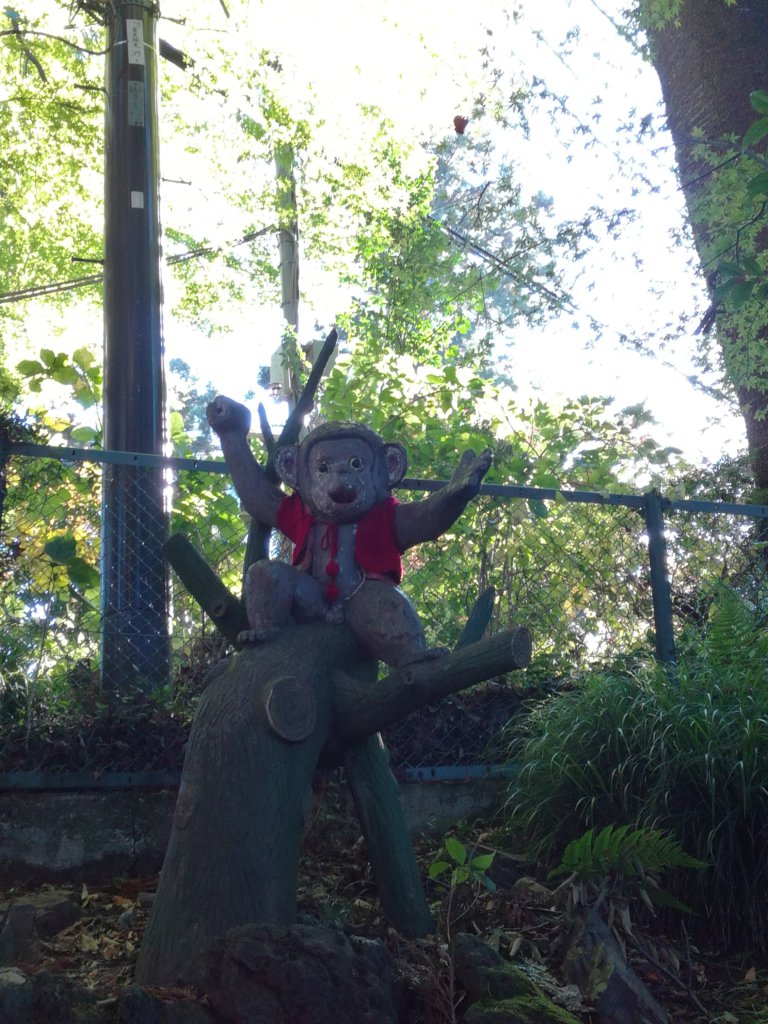 parc aux singes Mont Takao