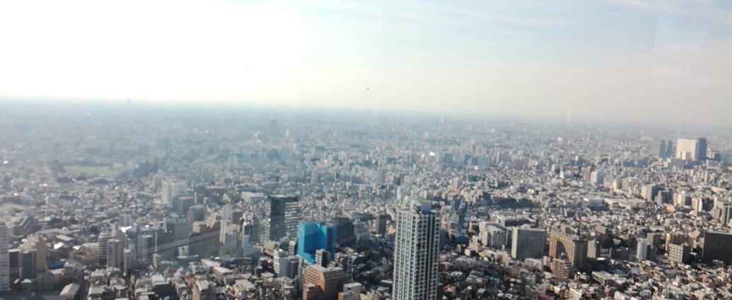 Tokyo metropolitan government