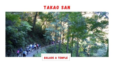 Mont Takao le bol d’air à deux pas de Tokyo