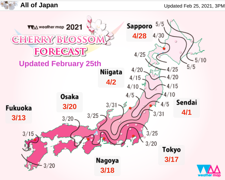 prévisions des floraisons cerisiers japon 2021