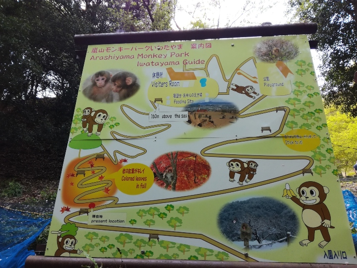 plan parc aux singes