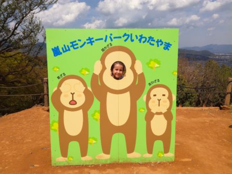 Le parc aux singes d'Iwatayama à Arashiyama