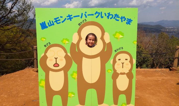 Le parc aux singes d'Iwatayama à Arashiyama