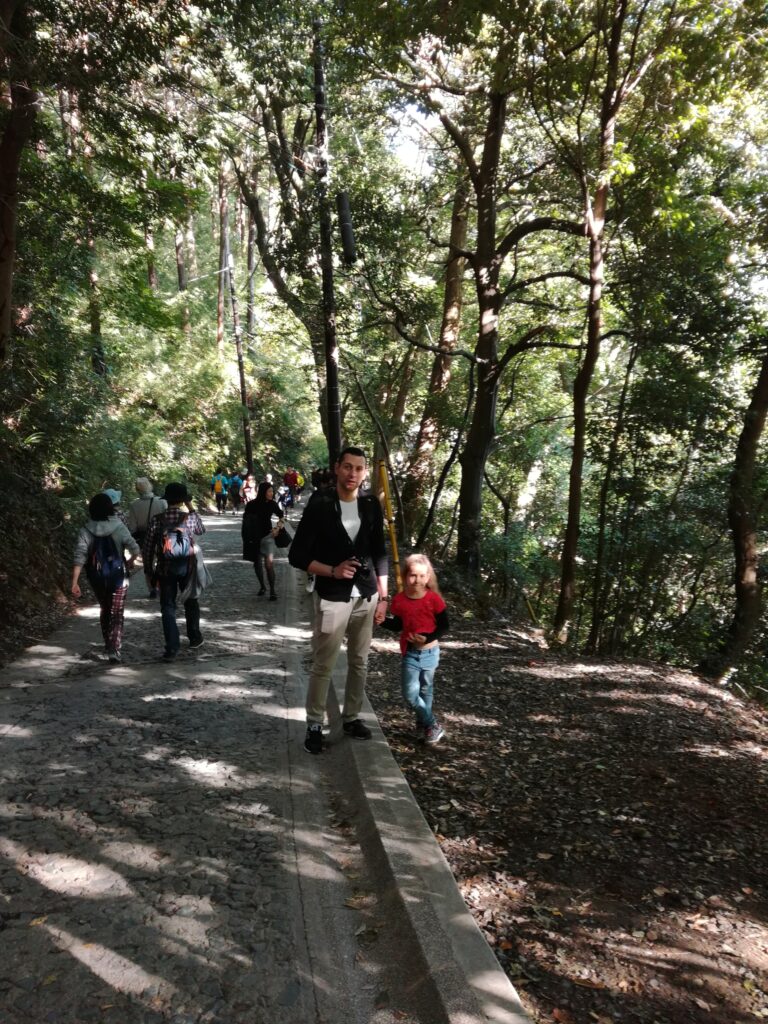 japon en famille randonnée à tokyo