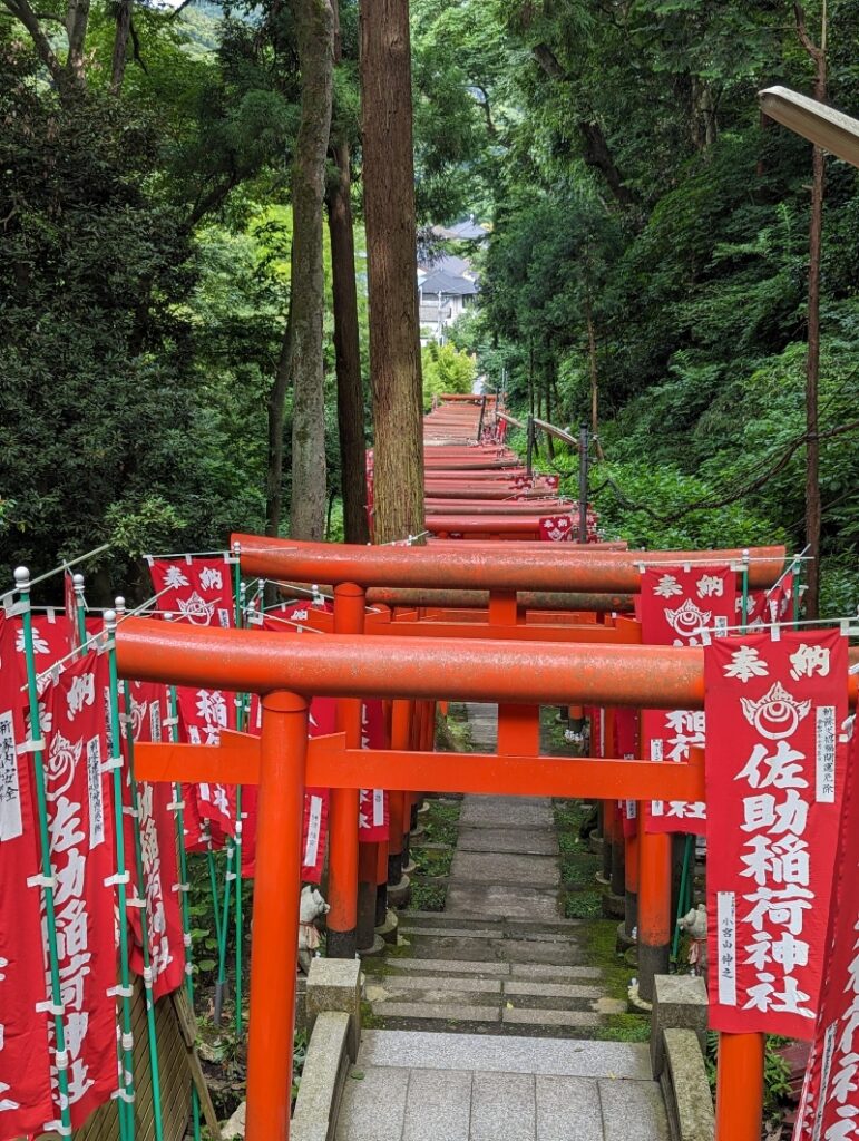 torii à Kamakura