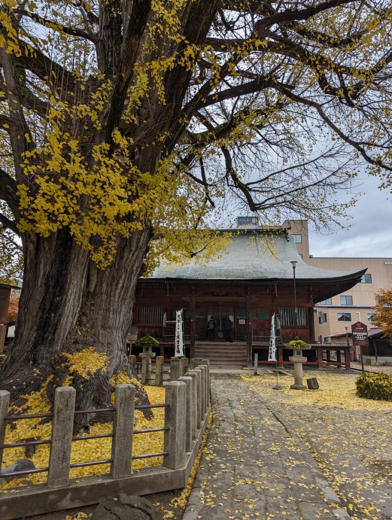 Temples de Takayama entourés de feuillage automnal, au cœur des Alpes japonaises