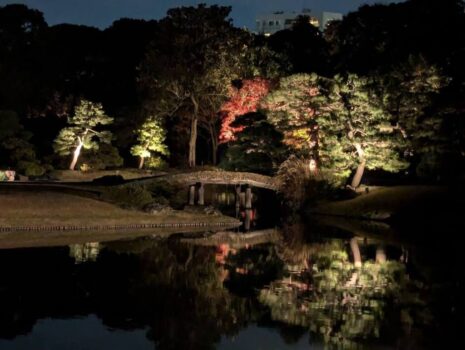 Rikugi-en Tokyo automne