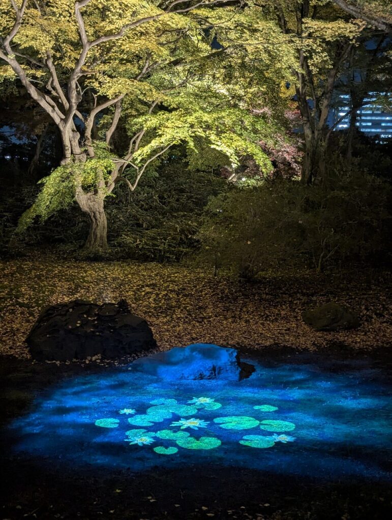 illuminations d’automne à Rikugi-en