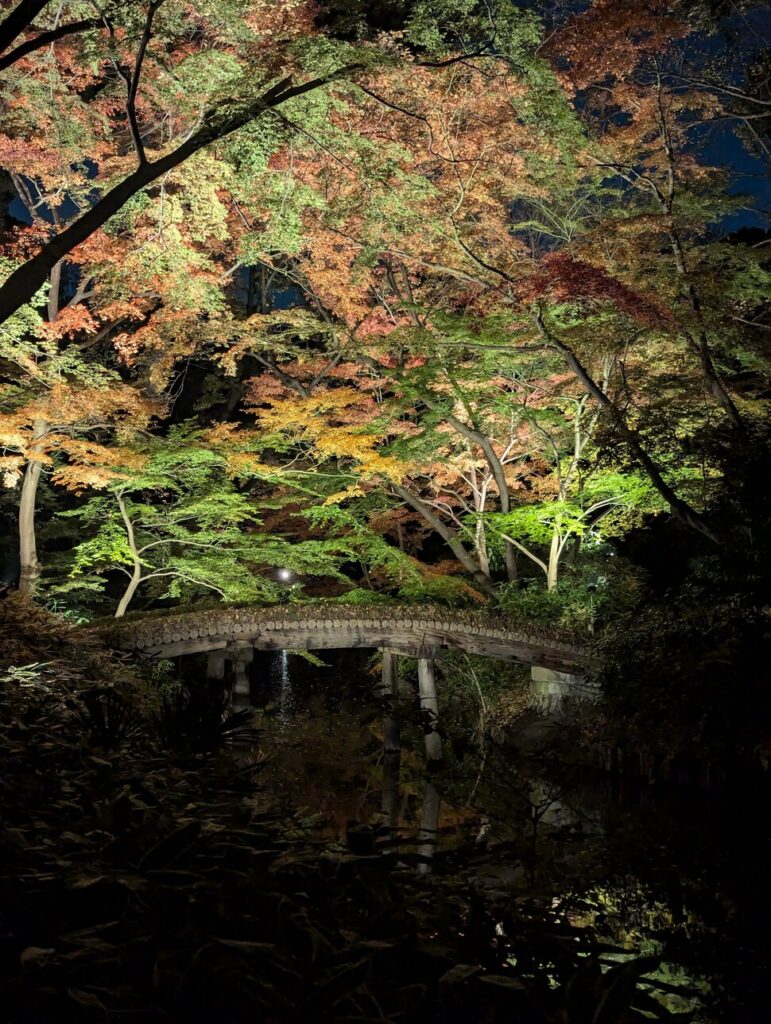 Rikugie-en illumination d'automne