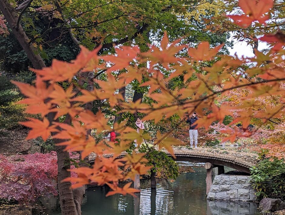 Tokyo automne