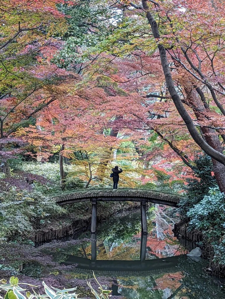 Rikugi-en Tokyo automne