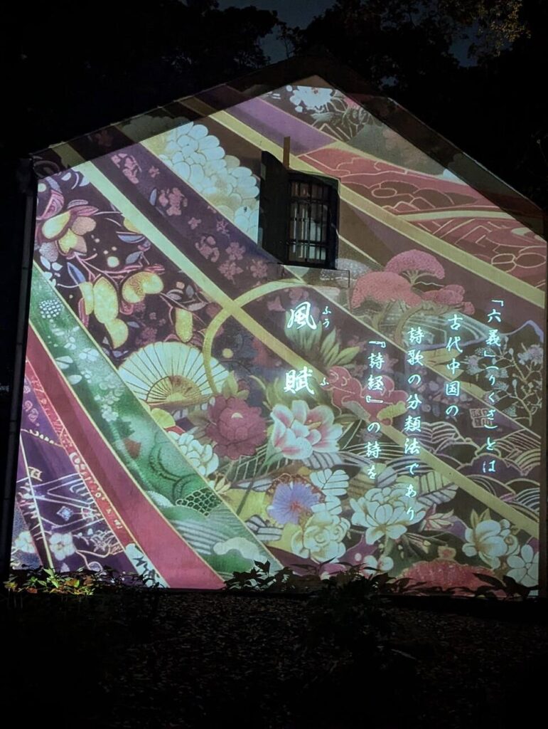 projection illumination automne